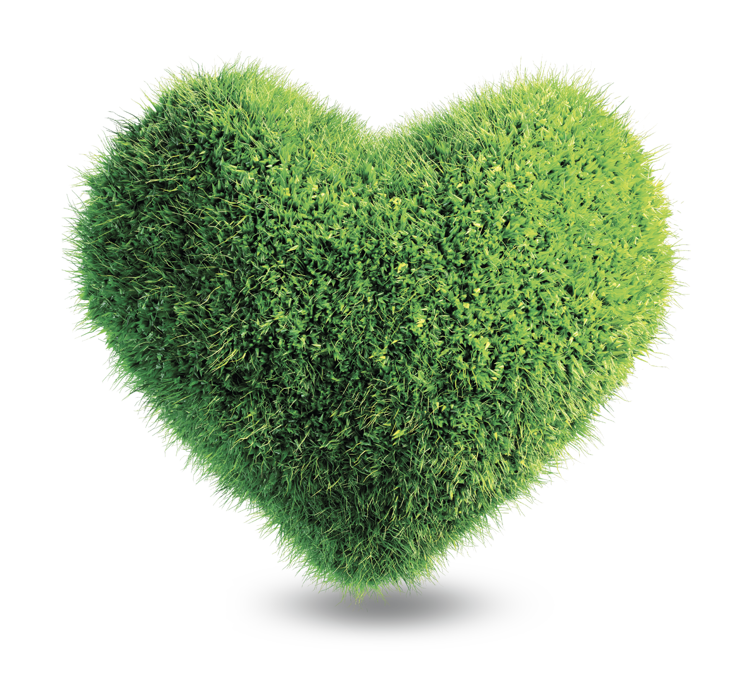 InterGo-Wireframe-June-2026-V4-Images_Sustainability+Responsibility-Eco-Heart